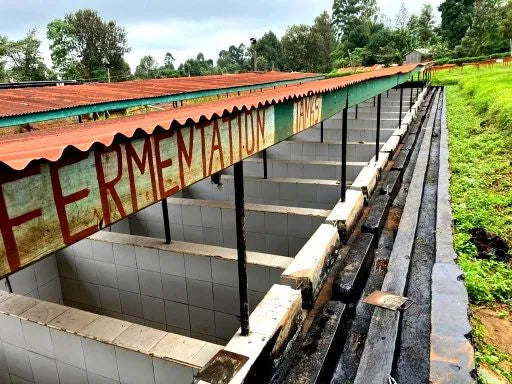 Tanques de fermentação na origem